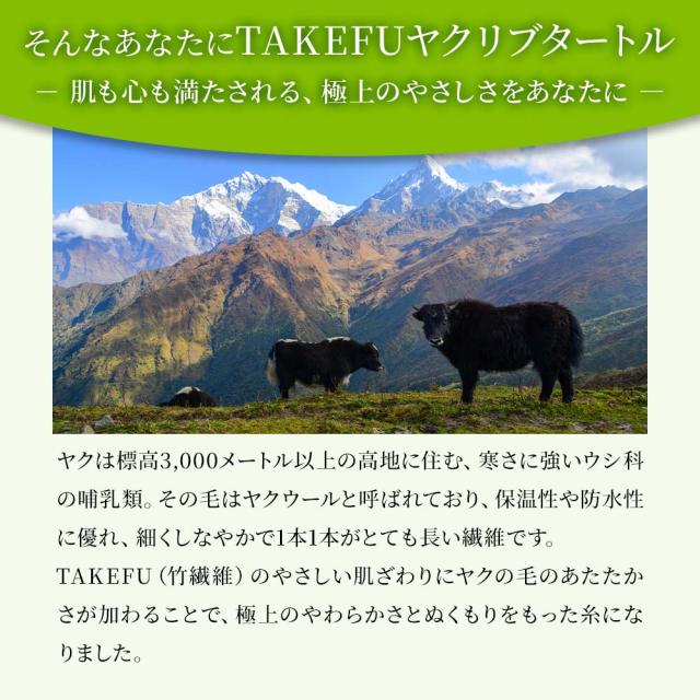 TAKEFU ヤク リブタートル_2