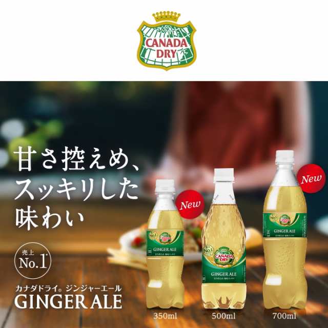 カナダドライ ジンジャーエール PET 700ml 送料無料 合計 40 本（20本×2ケース）ジンジャエール ジンジャー 炭酸飲料 送料無料  49021021の通販はau PAY マーケット - ちばや | au PAY マーケット－通販サイト