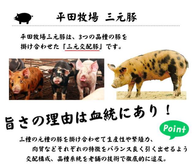 国産 豚 平田牧場 特製 ハムソーセージ詰合せセット 【冷蔵】 父の日におすすめ 帰省  お取り寄せグルメ 肉 高級 ギフト 内祝 詰合せ 無添加 豚肉 贈り物 惣菜 ギフト お祝返し 御祝 お礼 お返し 内祝い 贈答品 贈り物 出産 結婚 職場_9