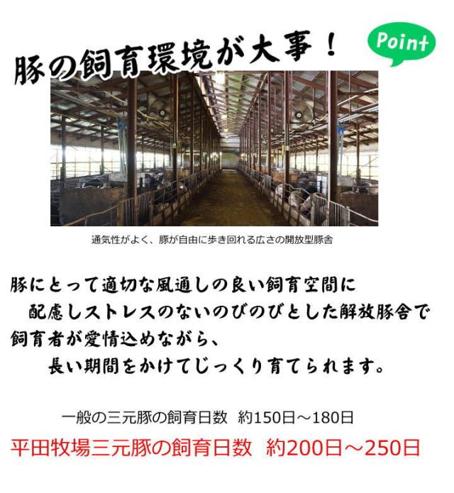 国産 豚 平田牧場 特製 ハムソーセージ詰合せセット 【冷蔵】 父の日におすすめ 帰省  お取り寄せグルメ 肉 高級 ギフト 内祝 詰合せ 無添加 豚肉 贈り物 惣菜 ギフト お祝返し 御祝 お礼 お返し 内祝い 贈答品 贈り物 出産 結婚 職場_11