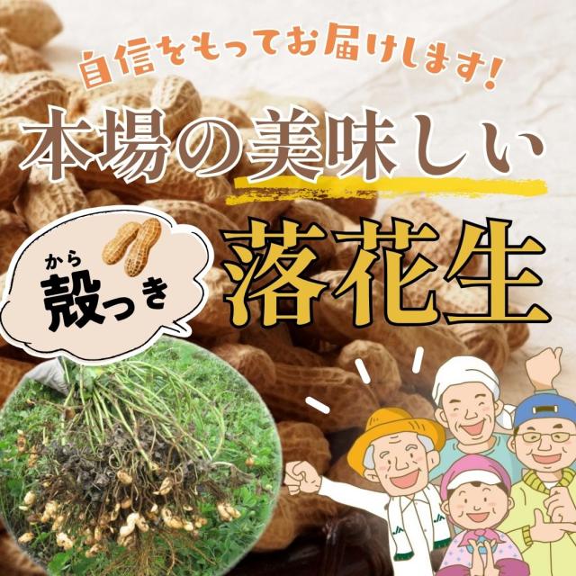 千葉県八街産 落花生 新豆【3袋 まとめ買い】450g 殻付き 【ナカテユタカ】ピーナッツ 中手豊 国産【HB宅】当日出荷 皮ごと 煎りざや 無添加 無着色 無塩 はせべ ちば 八街産 100% やちまた ナッツ ピーナツ ぴーなつ らっかせい_8