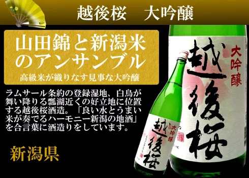 日本酒 飲み比べセット 純米大吟醸 大吟醸 300ml×5本(花)ミニ