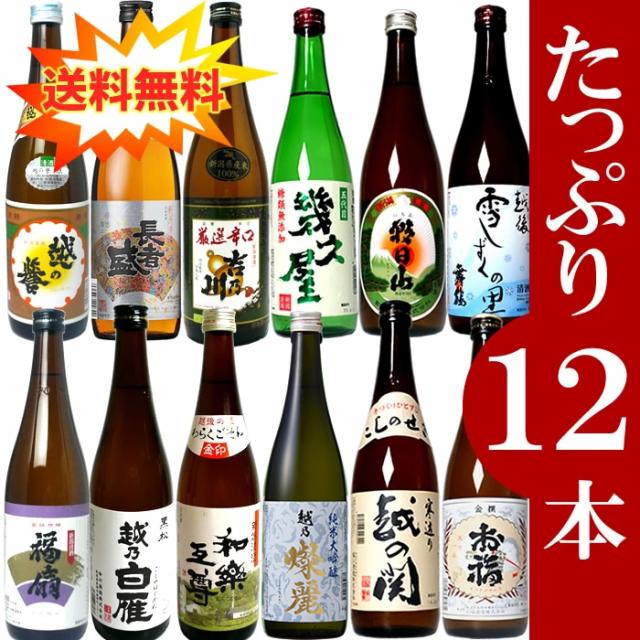 定価25370円‼️ お得‼️ 日本酒　12本　セット　720ml 飲み比べ 日本酒 飲み比べセット 720ml×12本 新潟のお酒が12本も