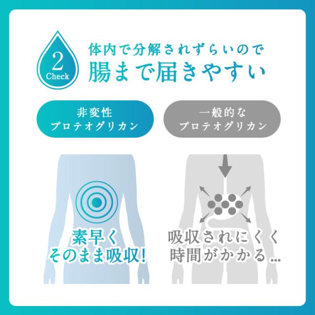 プロテオグリカン【国内製造】『肌髪膝 31粒 6個セット』　国内製造 関節痛 プロテオグリカンコラーゲン エラスチン_6