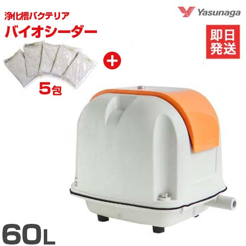 安永エアポンプ エアーポンプ AP-60G＋バイオシーダー5包セット