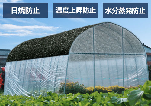 遮光ネット 2m×50m 遮光率50% 白 2本セット_1