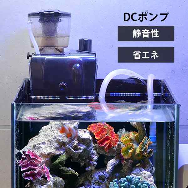 ゼンスイ 外掛式 プロテインスキマー QQ1 (水量100Lまで/DCポンプ 