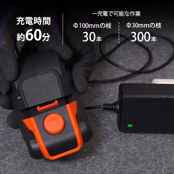工進 充電式 チェンソー スマートコーシン SCS-1820R (18Vリチウムバッテリー)_5