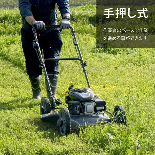 ミナト エンジン芝刈り機 雑草刈り機 手押し式 LMC-562KS (米国KOHLER