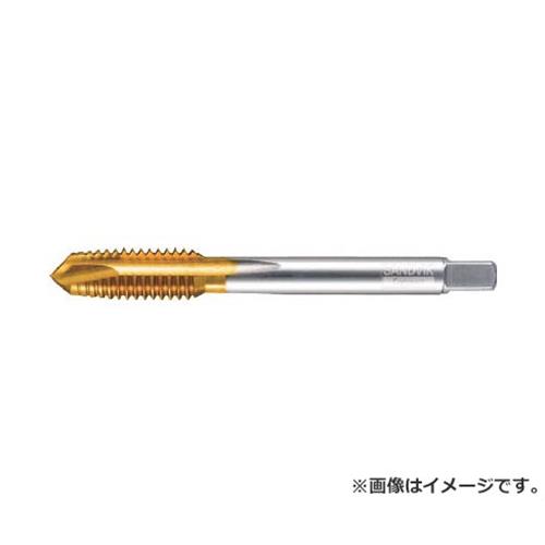 サンドビック コロタップ EP1CPJ2M12X1.5 [r20][s9-020]