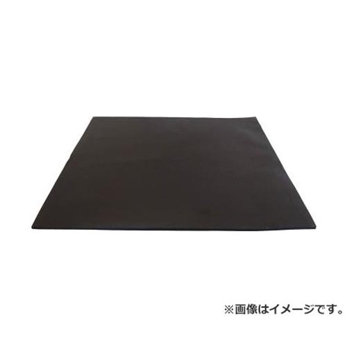 エクシール ゴミホコリ除去シート“半導電ゲルシート250X250mm E30302525 [r20][s9-020]