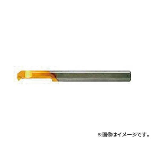 NOGA タイニーツール・ねじ切り MIR6L15A60 [r20][s9-010]