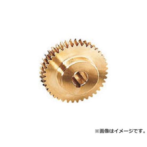 KG ウォームギヤ モジュール1.0 アルミニウム青銅鋳物(CAC702) G1A40L2P8 [r20][s9-020]
