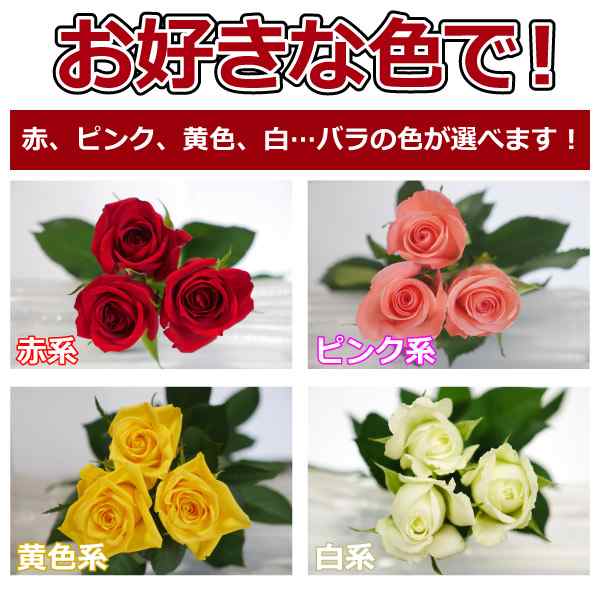 バラ花束 本 3980円 100本まで本数指定可 選べる4色 赤バラ ピンク 黄色 白バラ 誕生日 記念日 お祝い 送料無料 かすみ草追加可の通販はau Pay マーケット グリーンロード