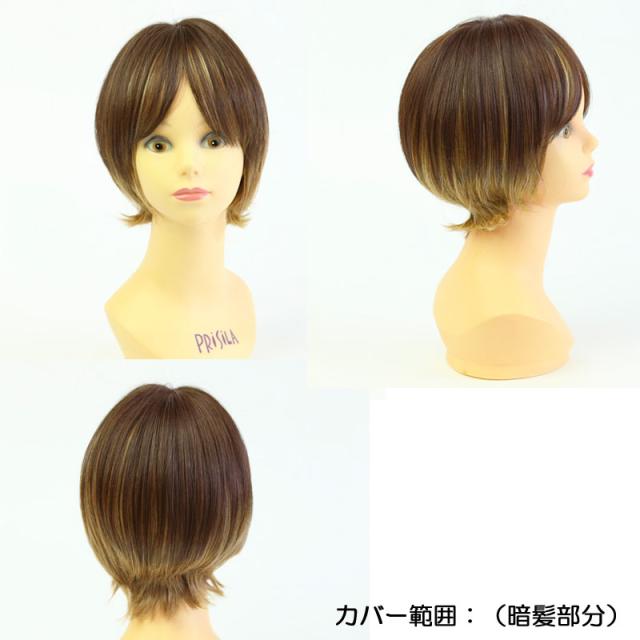WIG YUKI 部分ウィッグ　 分け目ピースM （S） WIG YUKI 部分ウィッグ 分け目ピースM （S）