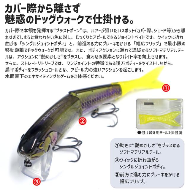 ブラストボーンJr. 2個セット ジャッカル（残りわずか】 BLAST