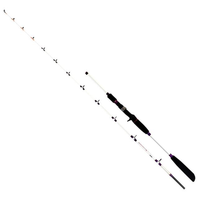 タチウオ・タコ釣りに最適！船釣り用リール＆竿セット195cm-50号
