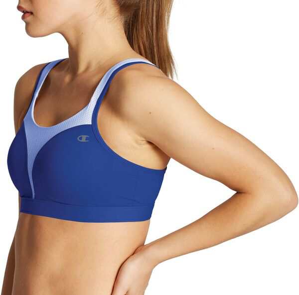 チャンピオン レディース ブラジャー アンダーウェア Champion Women's Spot Comfort Sports Bra Blue