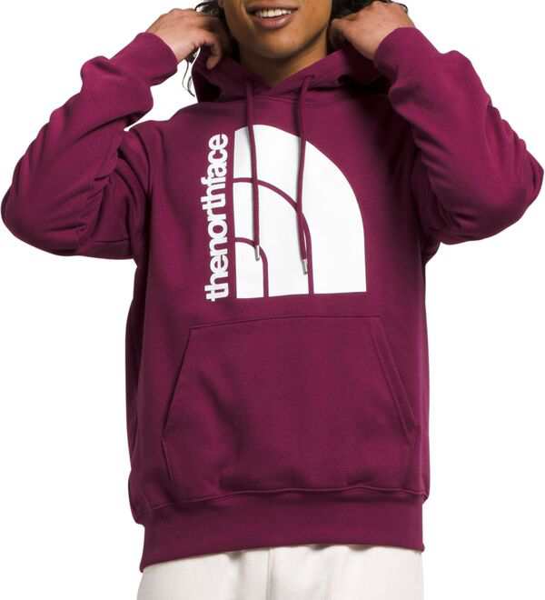 ノースフェイス メンズ パーカー・スウェット アウター The North Face Men's Jumbo Half Dome Hoodie Boysenberry/Tnf White