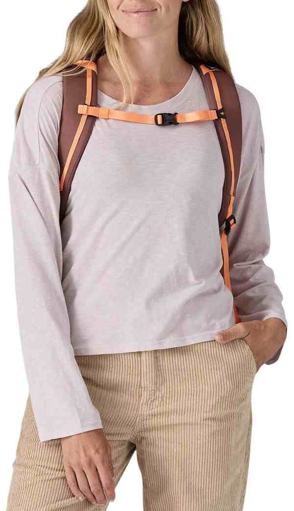 パタゴニア レディース バックパック・リュックサック バッグ Patagonia 25L Black Hole Pack Dulse Mauveの通販は