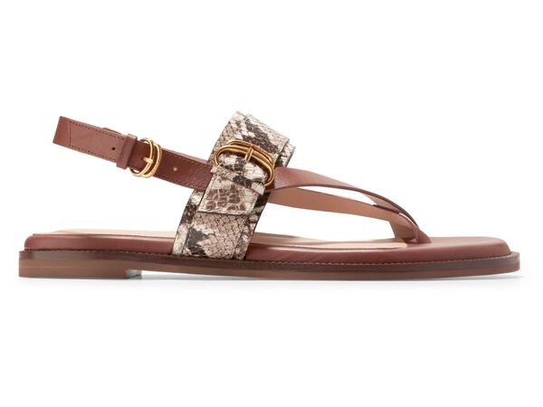 コールハーン レディース サンダル シューズ Anica Lux Buckle Sandals Sandollar Soho