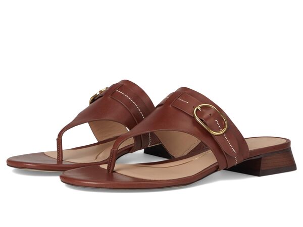 コールハーン レディース サンダル シューズ Gayle Thong Sandal Dark Cuoio Leatの通販は
