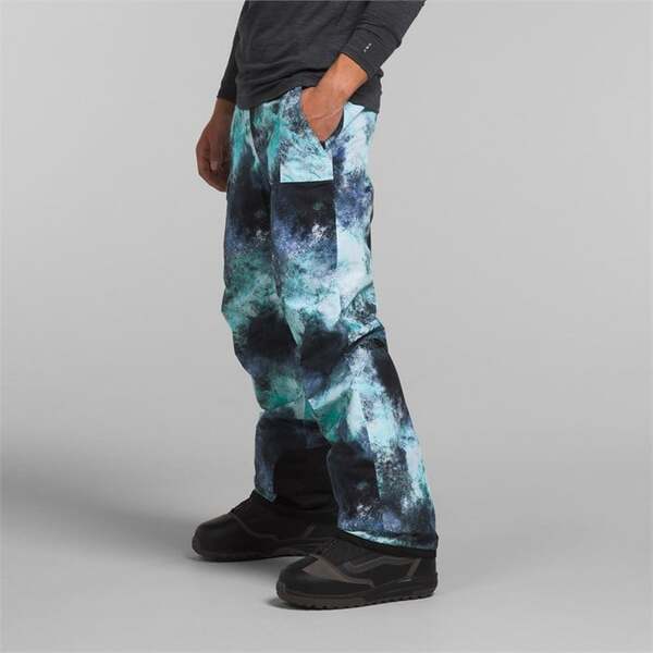 THE NORTH FACE メンズ フリーダムパンツ 取寄) ノースフェイス メンズ