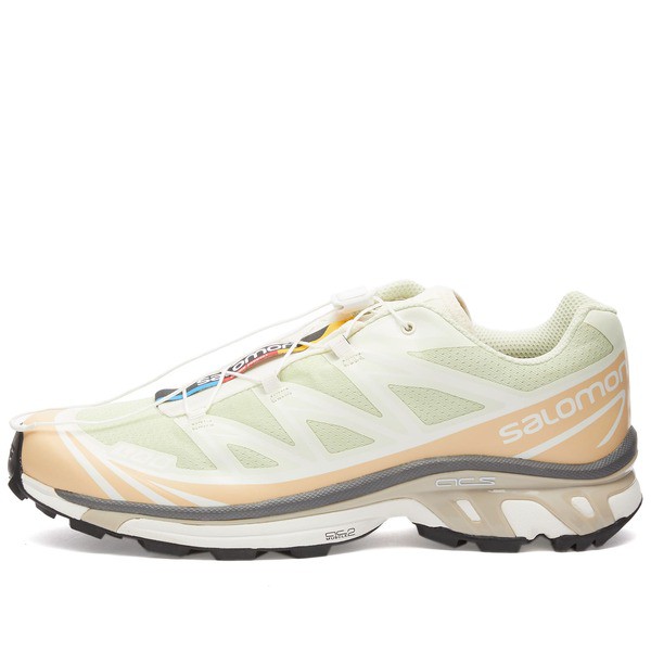 サロモン メンズ スニーカー シューズ Salomon XT-6 Aloe Washm