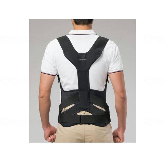 ダイヤ工業 ダーウィン サット ブラック LL 000-0941の通販は