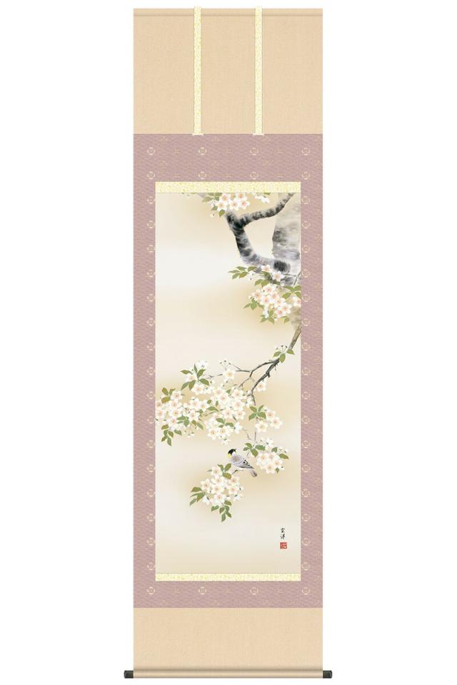 掛軸 掛け軸 花鳥画 季節飾り 春掛け 桜花に小鳥 洛彩緞子本表装 尺五 近藤玄洋 幸洋会 桐箱 【2023年度新作】 h31-snk-kz2a2-081 の通販は