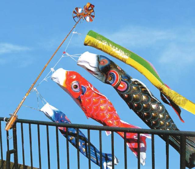 旭鯉（三匹） 5m セット 鯉のぼり 品良く着こなすため 5m 旭鯉（三匹） 開店祝い 鯉のぼり 子ども