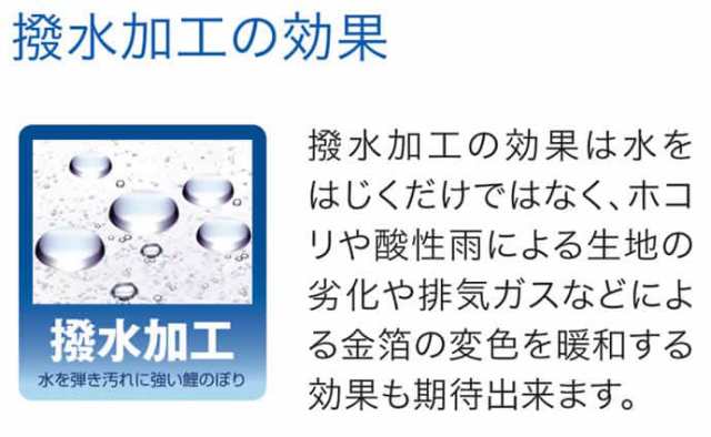 こいのぼり 旭天竜 鯉のぼり 庭園用 3m6点 ガーデンセット 彩風 撥水加工 家紋・名前入れ可能 【2024年度新作】 m-ayakaze-gd-3m-6