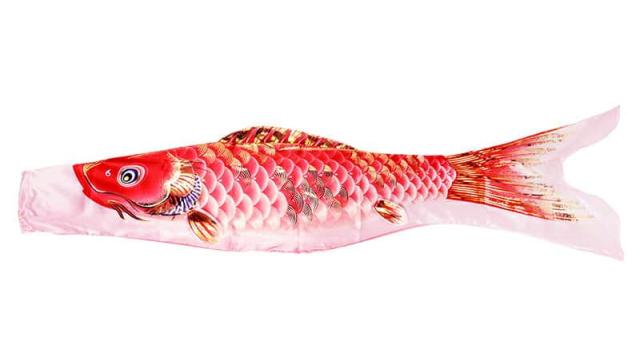 こいのぼり 旭天竜 鯉のぼり 庭園用 2m ガーデンセット 健翔はやぶさ 撥水加工 家紋・名前入れ可能 【2024年度新作】 m-hybs-gd-2mの通販は