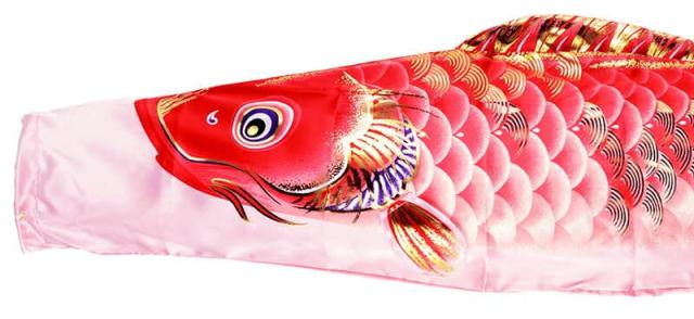 こいのぼり 旭天竜 鯉のぼり 庭園用 2m ガーデンセット 健翔はやぶさ 撥水加工 家紋・名前入れ可能 【2024年度新作】 m-hybs-gd-2mの通販は