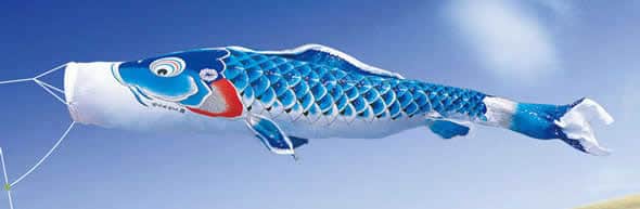 鯉のぼり 庭 園用 6m6点セット 友禅鯉 こいのぼり ポール別売り 徳永鯉のぼり 鯉のぼり 庭 園用 6m6点セット 友禅鯉 こいのぼり ポール