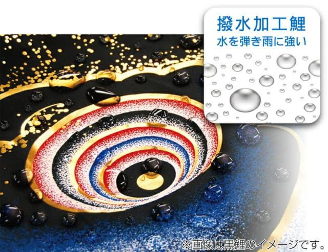 こいのぼり 徳永鯉 鯉のぼり 庭園用 1.2m7点 にわデコセット 豪 金彩弦月之鯉 撥水加工 【2024年度新作】 410-224の通販は こいのぼり 徳永鯉 鯉のぼり 庭園用 1.2m7点 にわデコセット 豪 金彩弦月之鯉 撥水加工 【2024年度新作】 410-224の通販は