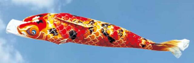 こいのぼり 徳永鯉 鯉のぼり 庭園用 5m6点セット 京錦 献上手染友禅之鯉 ポリエステル立体交差織 【2024年度新作】 001-115