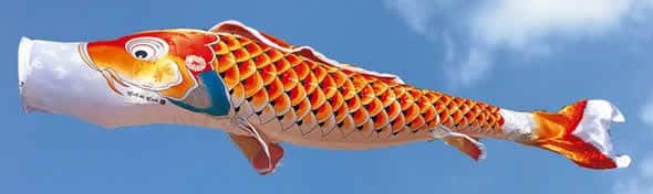 こいのぼり 徳永鯉 鯉のぼり 庭園用 3m8点スタンドセット 砂袋 吉兆 慶祝の鯉 撥水加工 【2024年度新作】 113-552の通販は