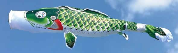 こいのぼり 徳永鯉 鯉のぼり 庭園用 3m8点スタンドセット 砂袋 吉兆 慶祝の鯉 撥水加工 【2024年度新作】 113-552の通販は