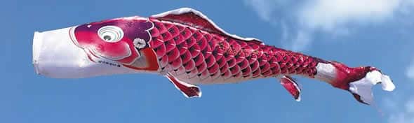 こいのぼり 徳永鯉 鯉のぼり 庭園用 3m8点スタンドセット 砂袋 吉兆 慶祝の鯉 撥水加工 【2024年度新作】 113-552の通販は