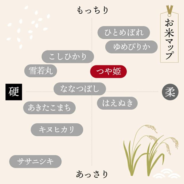 【令和7年】 山形県産 つや姫 10キロ (精米) 5kg×2袋 送料無料 米 コメ おこめ 新米