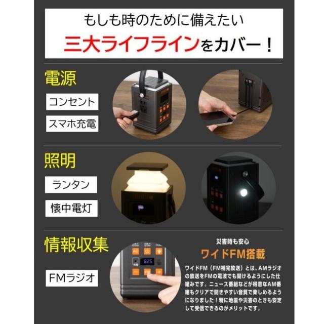 リン酸鉄バッテリー搭載 多機能ポータブル電源 エネポルタ+3 ENEPORTA+3 (プラススリー) EPR-301 クマザキエイム 防災用品 TV通販_8