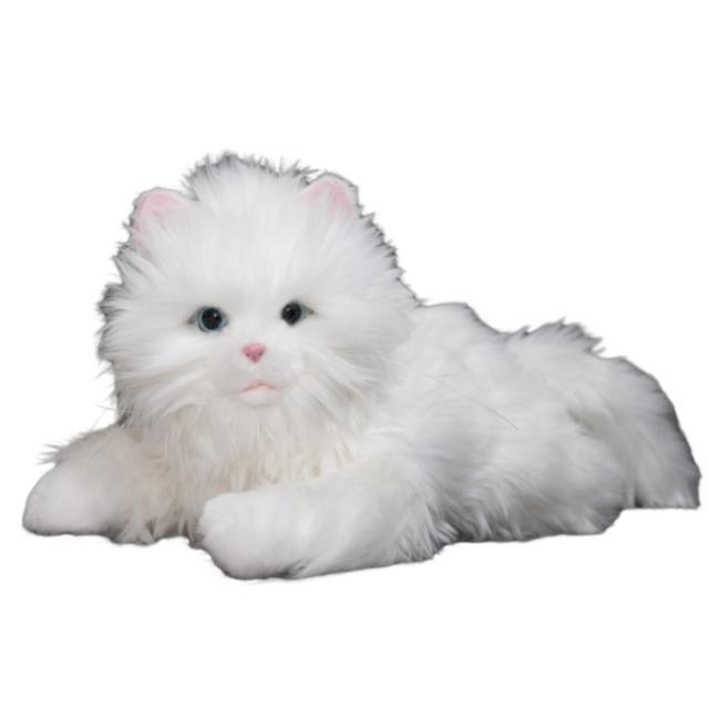 ねこちゃんページです♡ しっぽふりふり あまえんぼう子ねこちゃん デジレクト 子猫型