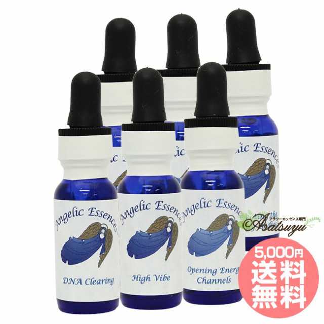 直販特別価格 アンジェリックフリーダムキット全6本セット Angelic