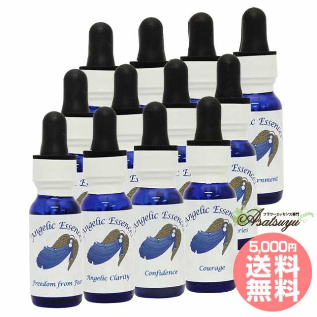 ヒーラーズキット全12本セット Angelic Healers Kit アンジェリック