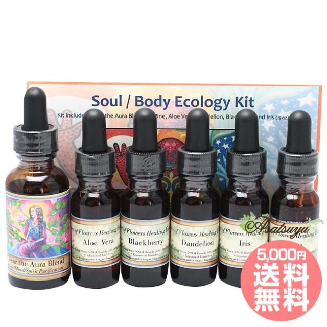 ソウル ボディエコロジーキット パワーオブフラワーヒーリング その他の通販はau Pay マーケット フラワーエッセンスのasatsuyu