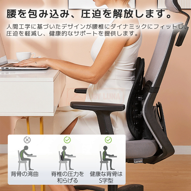 最安挑戦 秋新作 送料無料 新作 腰椎サポートクッション 腰痛