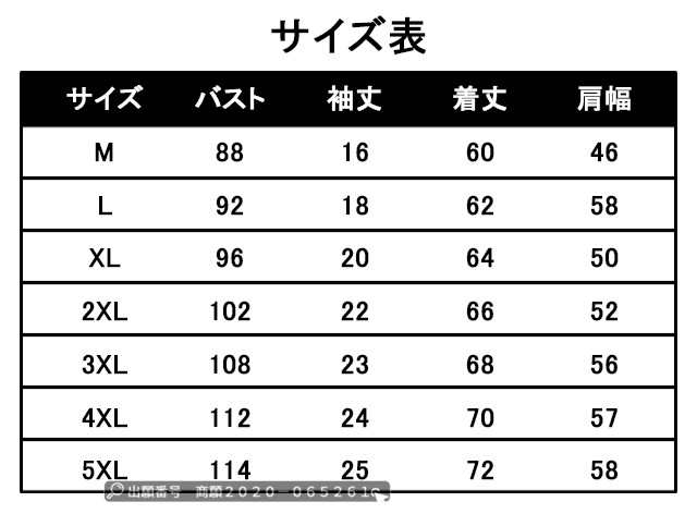 冬新作 新作 送料無料 アイスシルクメッシュ夏 涼感 メンズ Tシャツ