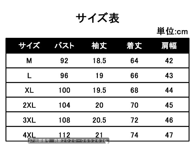 ドル札柄 ゴルフシャツ サイズ選択可 赤字覚悟 夏最終セール 送料無料 ポロシャツ メンズ ボーダー柄