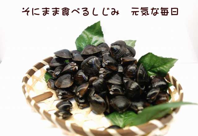 食べるしじみ 送料無料 そのまま 食べる焼き シジミ 薄味なので色々な料理に しじみ 乾燥 シジミ 珍味 オルニチン 酒の肴 酒のつまみ おの通販はau Pay マーケット グルメ通り